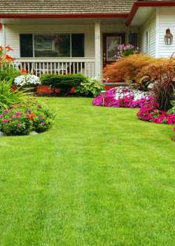  lawncare websites