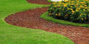 DiversifyYourIncome Power Lawncare Websites lawncare websites