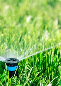  lawncare websites