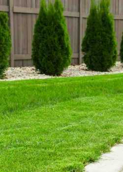  lawncare websites