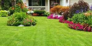  lawncare websites